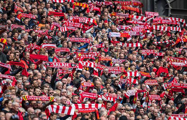 篮球篮网球队训练赛完成（篮网队训练赛结束）