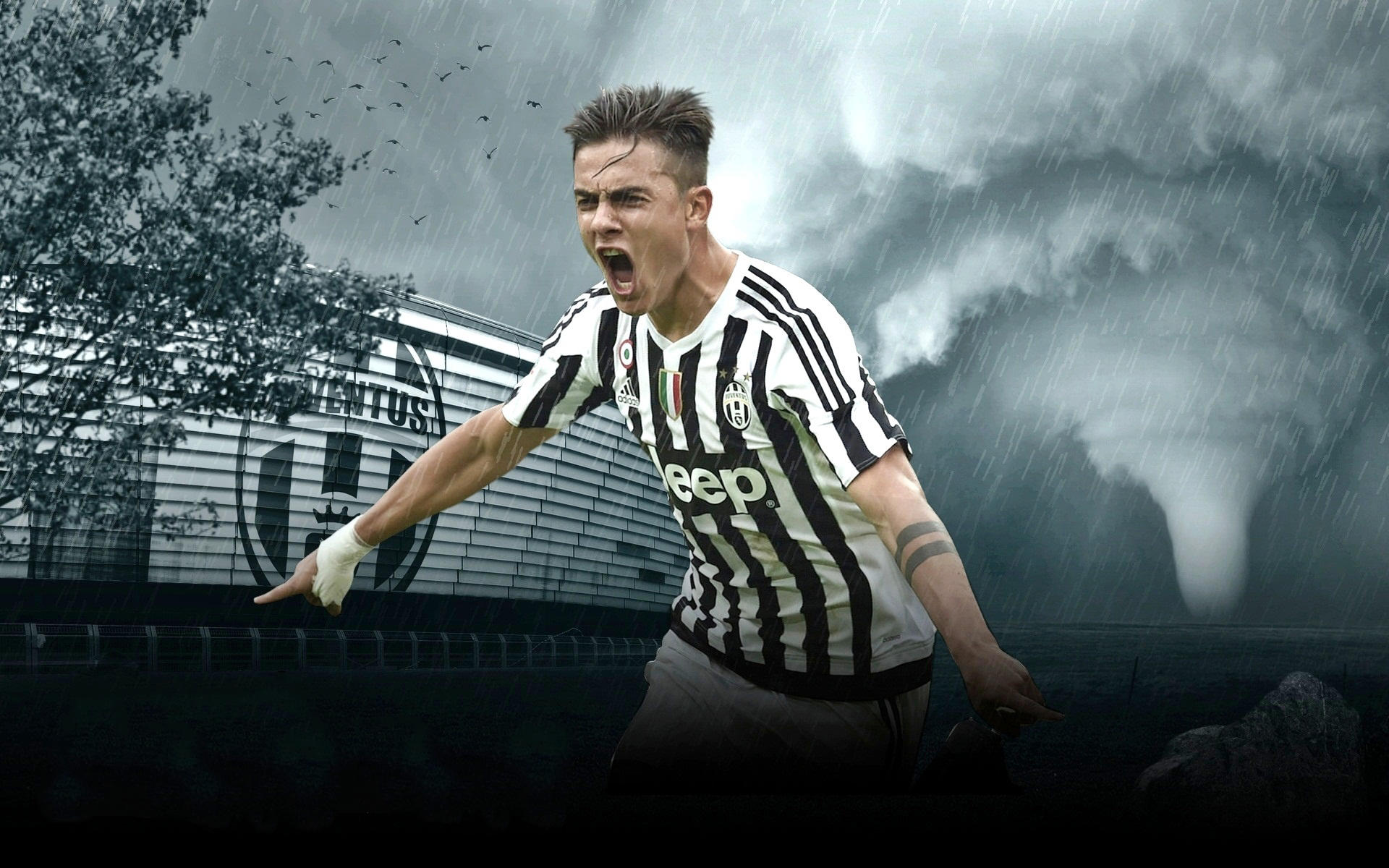 国安3-0河南平足协杯决赛最大分差，此前4场决赛曾出现3球差距（国安3-0河南追平足协杯决赛最大分差，历史上已有4场出现3球差距）